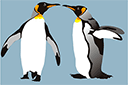 Pochoirs avec des animaux - Quatre pingouins