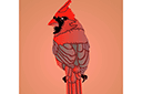 Pochoirs avec des animaux - Cardinal rouge 1