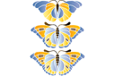 Pochoirs avec papillons et libellules - Gros papillons 2