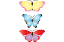 Pochoirs avec papillons et libellules - Gros papillons