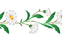 Pochoirs avec jardin et fleurs sauvages - Marguerites sauvages (bordure)