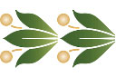 Pochoirs pour bordures avec plantes - Motif de bordure classique II