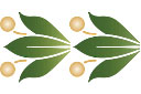 Pochoirs pour bordures avec plantes - Motif de bordure classique II