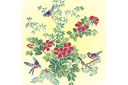 Pochoirs avec jardin et fleurs sauvages - Fleurs et oiseaux