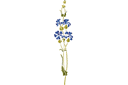 Pochoirs avec jardin et fleurs sauvages - Grand bleuet 36