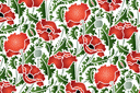 Pochoirs avec jardin et fleurs sauvages - Papier peint coquelicot 39