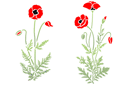 Pochoirs avec jardin et fleurs sauvages - Paire de coquelicots 48