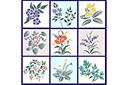 Pochoirs avec jardin et fleurs sauvages - Ensemble de fleurs 51