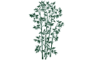 Pochoirs avec feuilles et branches - Gros bambou