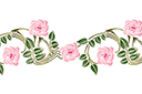 Pochoirs avec jardin et roses sauvages - Bordure rose 50