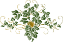 Pochoirs avec feuilles et branches - Motif de houblon