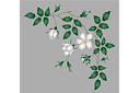 Pochoirs avec jardin et roses sauvages - Églantier blanc - motif en coin