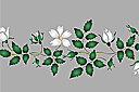 Pochoirs avec jardin et roses sauvages - Cynorrhodon blanc - bordure