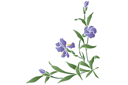 Pochoirs avec jardin et fleurs sauvages - Le coin de l'iris