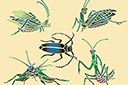 Pochoirs avec papillons et libellules - Cinq insectes