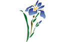Pochoirs avec jardin et fleurs sauvages - Iris d'Orient
