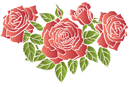 Pochoirs avec jardin et roses sauvages - Roses écarlates 2
