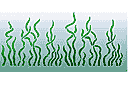 Pochoirs avec vie marine - Algues 1