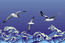 Bordures avec des motifs marins - Tempête et albatros