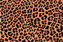 Pochoirs avec motifs répétitifs - Taches de léopard