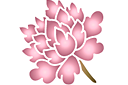 Pochoirs avec jardin et fleurs sauvages - Fleur chinoise 4