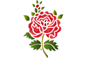 Pochoirs avec jardin et roses sauvages - Rose folklorique 11a
