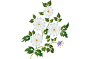 Pochoirs avec jardin et fleurs sauvages - Bouquet folklorique de marguerites