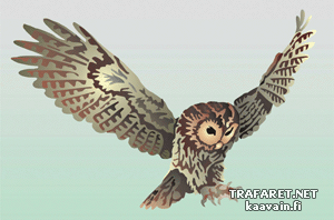 Hibou planeur (Pochoirs avec des animaux)