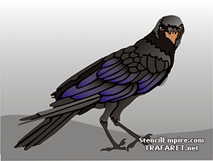 Grand corbeau - pochoir pour la décoration