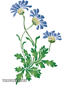 Bleuets - pochoir pour la décoration