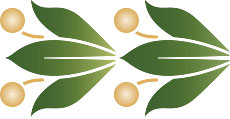 Motif de bordure classique II - pochoir pour la décoration