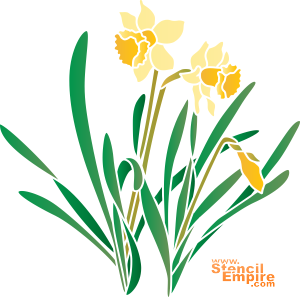 Jonquilles jaunes - pochoir pour la décoration