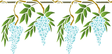 Glycine sur un bâton - pochoir pour la décoration