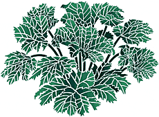 Gunnera 2 - pochoir pour la décoration