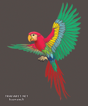 Perroquet volant - pochoir pour la décoration