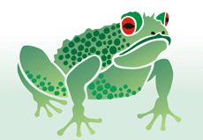 Grande grenouille - pochoir pour la décoration