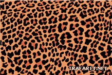 Taches de léopard - pochoir pour la décoration