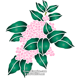 Branche d'hortensia rose - pochoir pour la décoration
