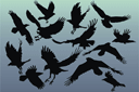 13 corbeaux - pochoirs avec silhouettes et contours