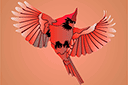 Cardinal rouge 3 - pochoirs avec des animaux
