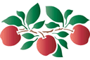 Motif pomme - pochoirs avec fruits et baies