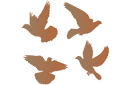 Pigeons - pochoirs avec silhouettes et contours
