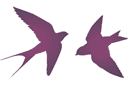 Deux hirondelles - pochoirs avec silhouettes et contours