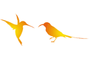 Deux colibris - pochoirs avec silhouettes et contours