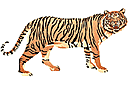 Tigre - pochoirs avec plantes et animaux de la jungle