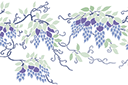 Glycine orientale - pochoirs avec jardin et fleurs sauvages