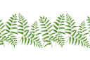 Bordure de fougère 12 - pochoirs avec feuilles et branches