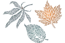 Trois feuilles - pochoirs avec feuilles et branches