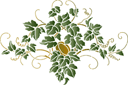 Motif de houblon - pochoirs avec feuilles et branches