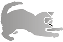 Chaton gris - pochoirs avec des animaux